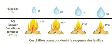 HUMIDITE DU BOIS