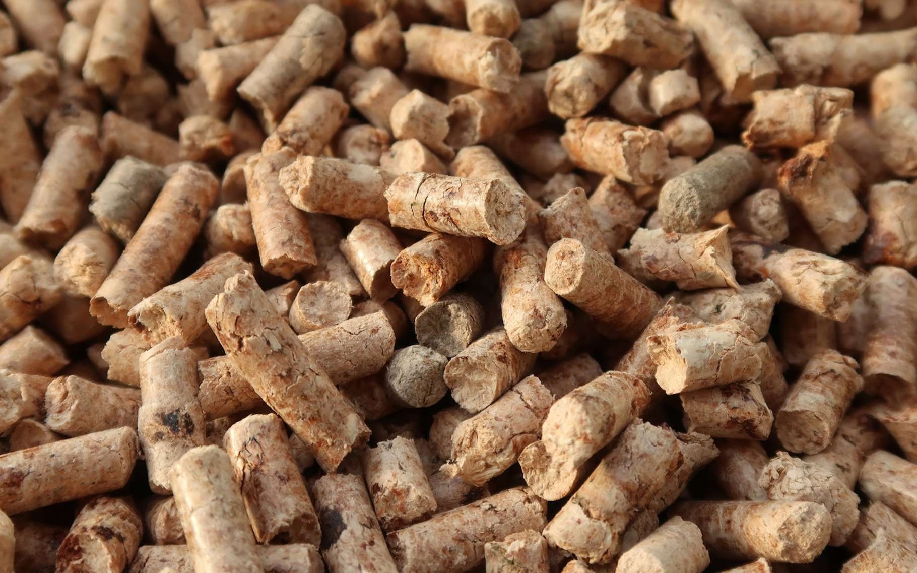 Paniers à pellets, ce qu'ils sont et comment les utiliser - Blog