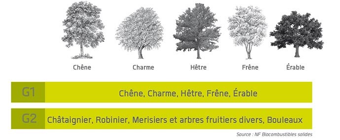 Quel bois de chauffage choisir pour une combustion optimale ?