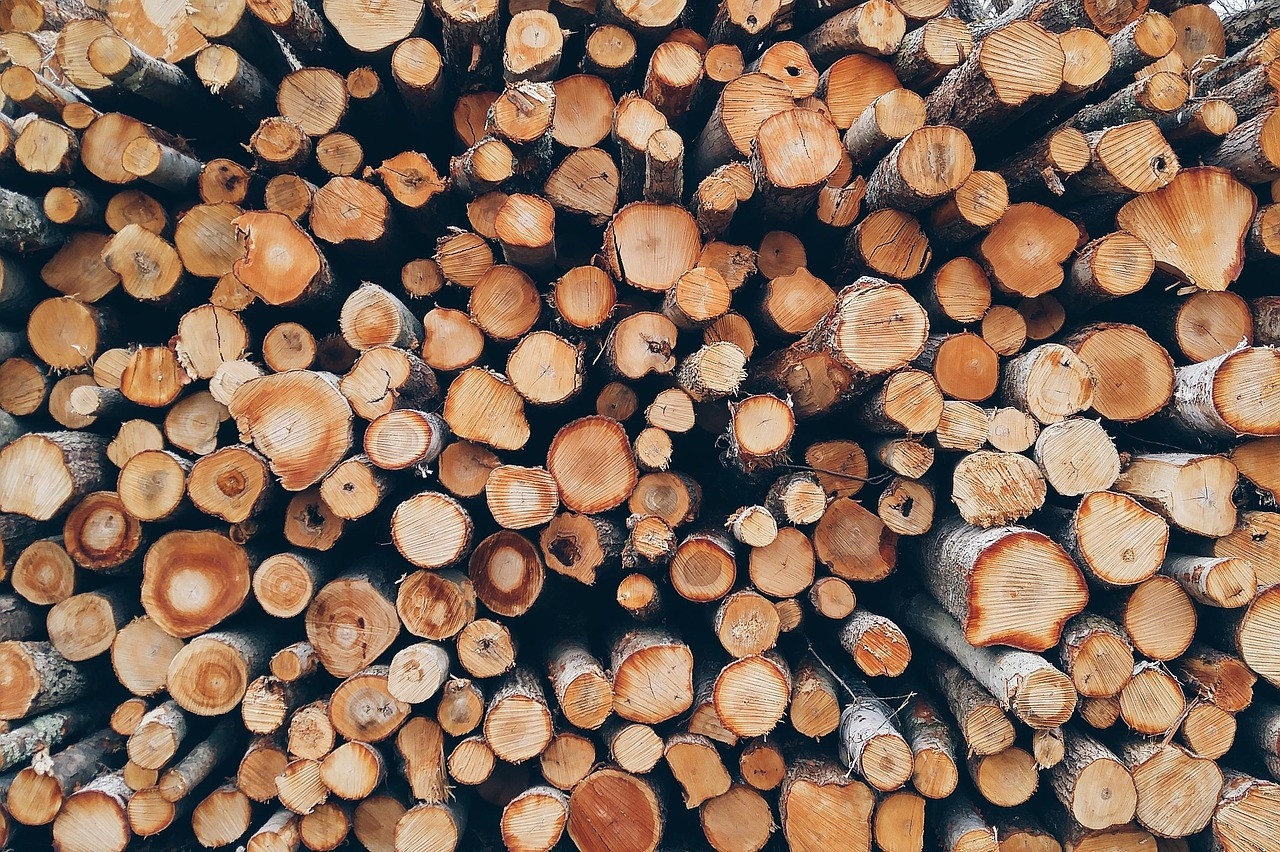 Quel bois ne pas brûler dans une cheminée ?
